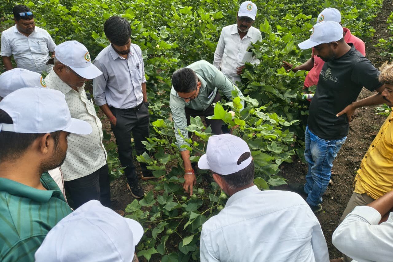 कापूस व तूर उत्पादन तंत्रज्ञान