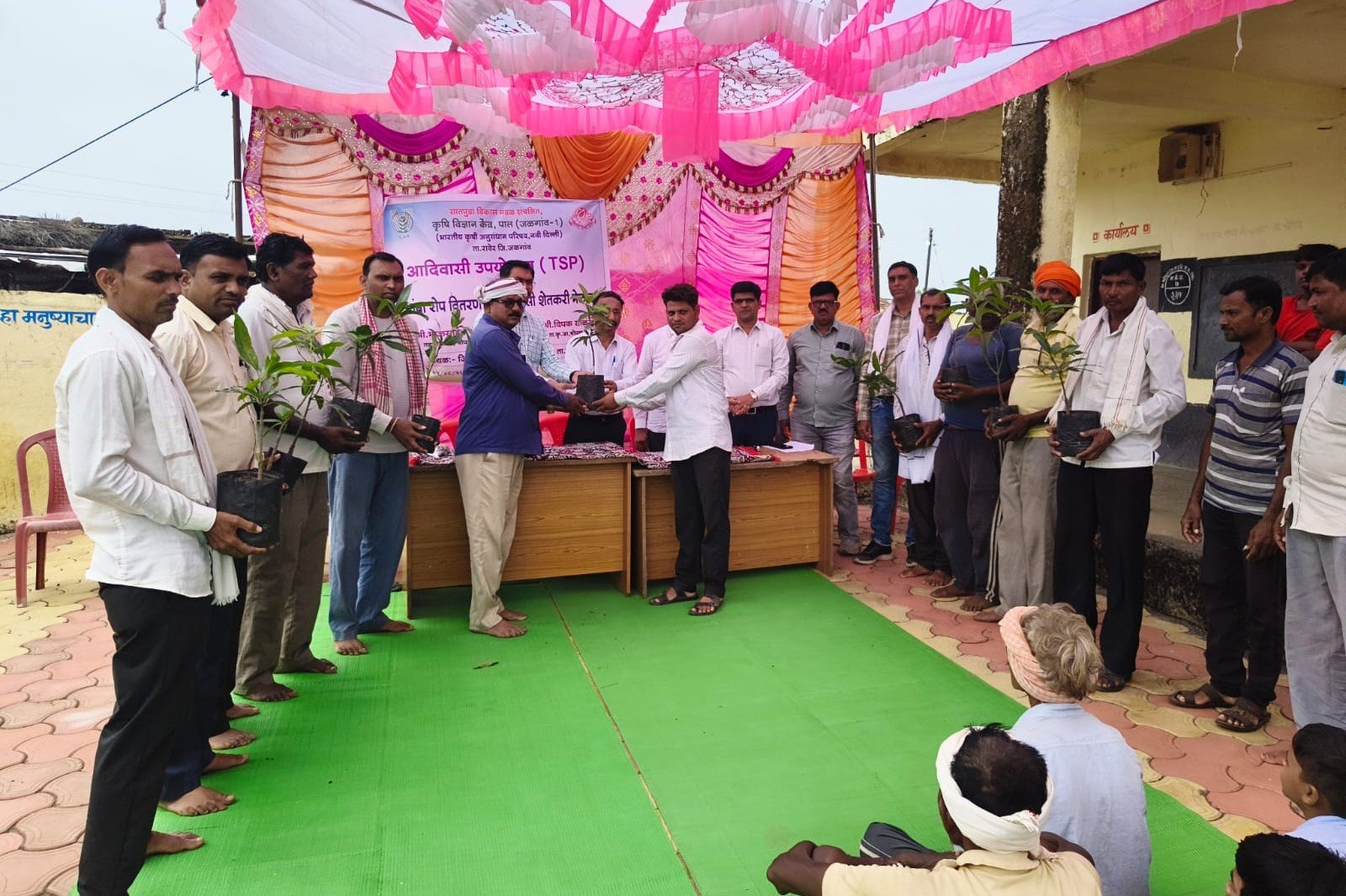 आदिवासी उपयोजना (TSP) अंतर्गत आंबा रोप वितरण